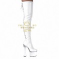 bota sexys28